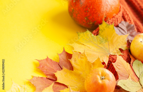 autumn background of free space and autumn time