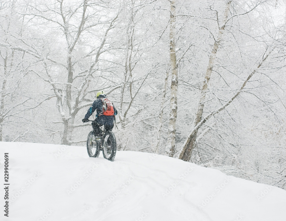 man riding with electric bicycle, e-bike, ebike, pedal on snowy road, during snow storm, blizzard, high mountain, forest, end of winter, spring, cold, alps, adventure, isolated, Piedmont, Italy man riding with electric bicycle, e-bike, ebike, pedal on snowy road, during snow storm, blizzard, high mountain, forest, end of winter, spring, cold, alps, adventure, isolated, Piedmont, Italy