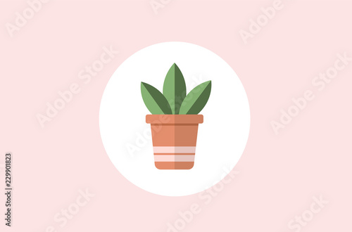 Fototapeta Naklejka Na Ścianę i Meble -  Background of a minimalist style plant. Simple vector.