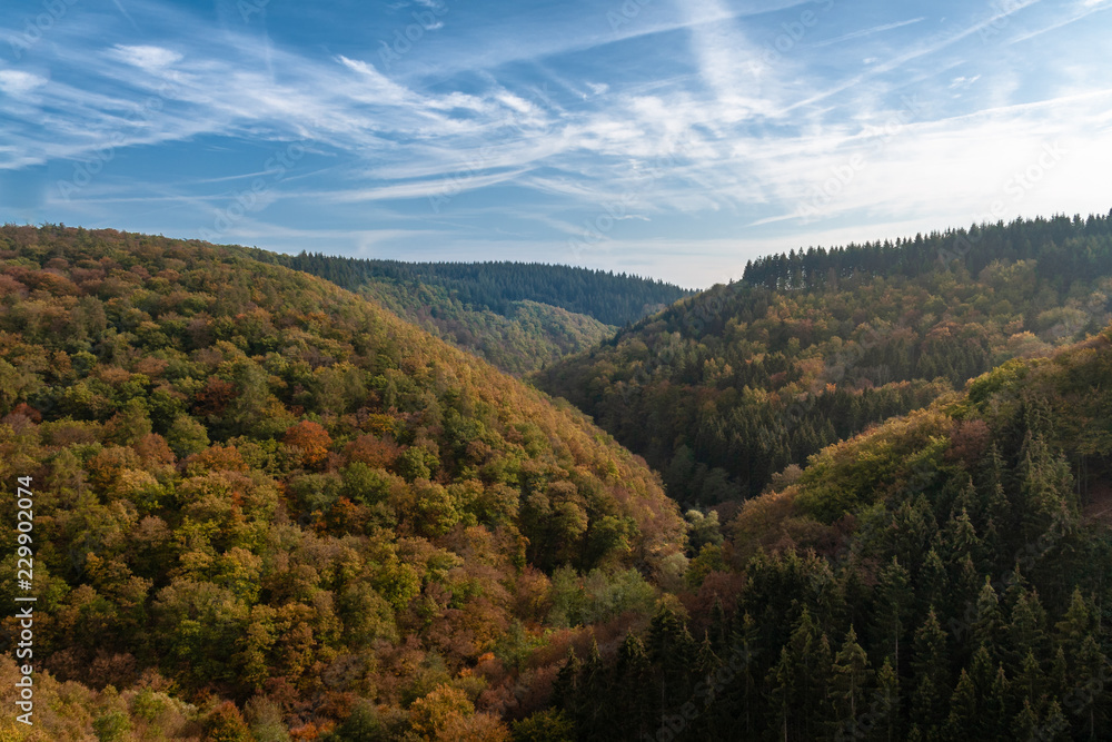 Wald und Berge im Herbst