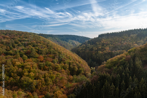 Wald und Berge im Herbst