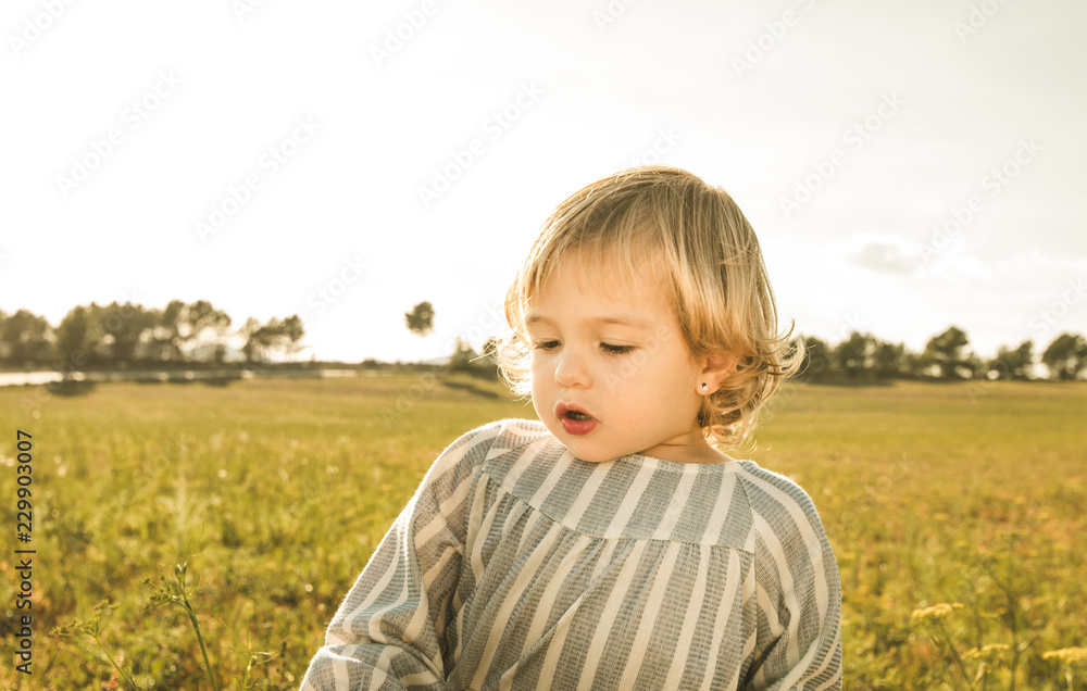 Portrait of a lovely little girl in the blonde field looking at the camera Portrait of a lovely little girl in the blonde field looking at the camera