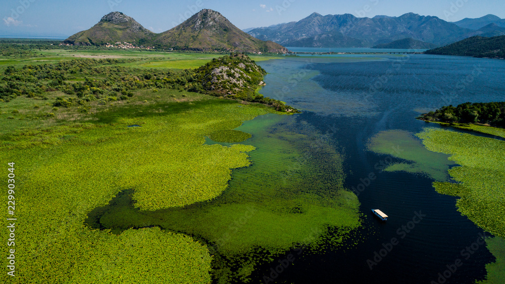 Aerial view of the beautiful landscape of Lake Skadar in the mountain on a sunny day. Montenegro. The territory of Lake Skadar overgrown with plants.
