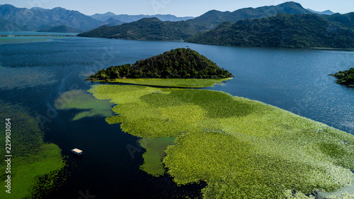 Aerial view of the beautiful landscape of Lake Skadar in the mountain on a sunny day. Montenegro. The territory of Lake Skadar overgrown with plants.