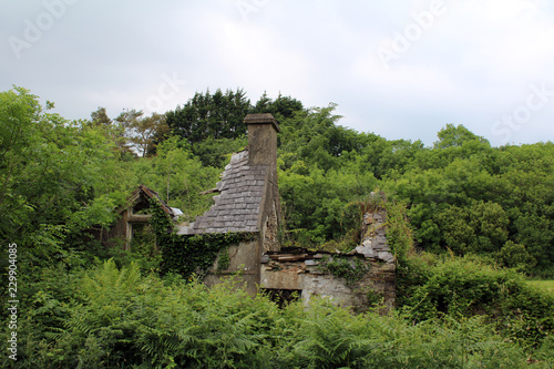 Old stone ruin of a country cottage in Ireland