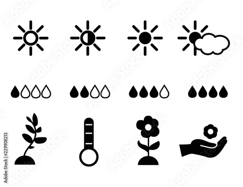 Set icons planting