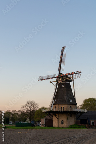 Landscape with traditional Dutch grain wind mill and blue sky on sunset, copy space