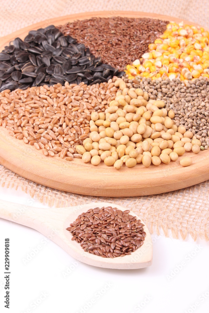 Fototapeta premium seed