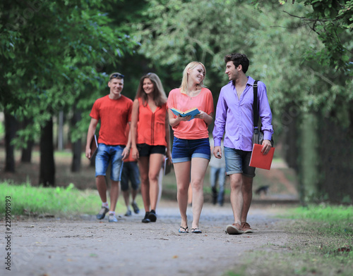 Fototapeta Naklejka Na Ścianę i Meble -  group of College students walking together in the Park