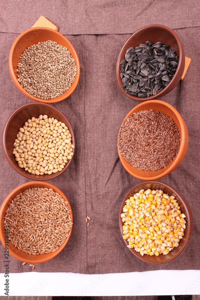 seed seed