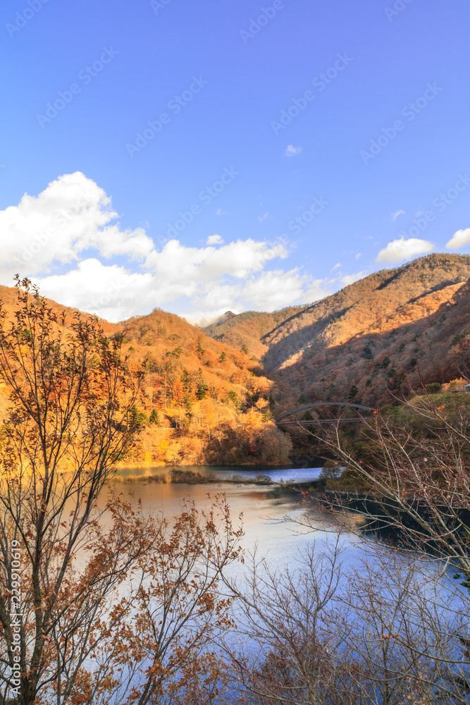 秋の奥四万湖の風景