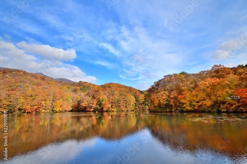 秋空と紅葉の湖畔