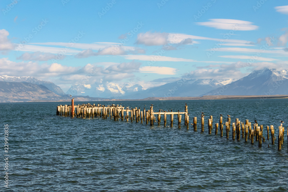 Patagonia bay and mountains from Puerto Natales with cormorants on old pilings