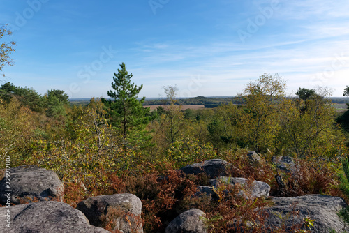 Grands Avaux forest panorama in the French Gâtinais regional nature park