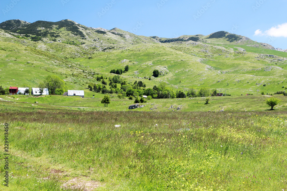 A village in Durmitor national park in Montenegro A village in Durmitor national park in Montenegro