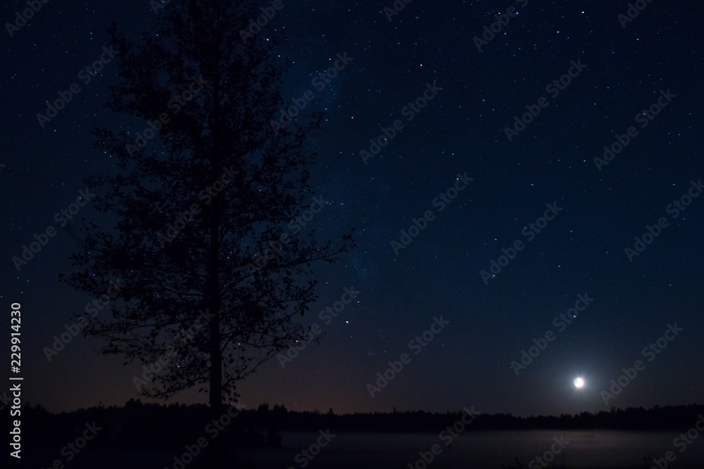 A night landscape with a single, tall tree, stars shining in the black sky and the moon