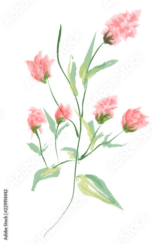 The pink flower water painting.
