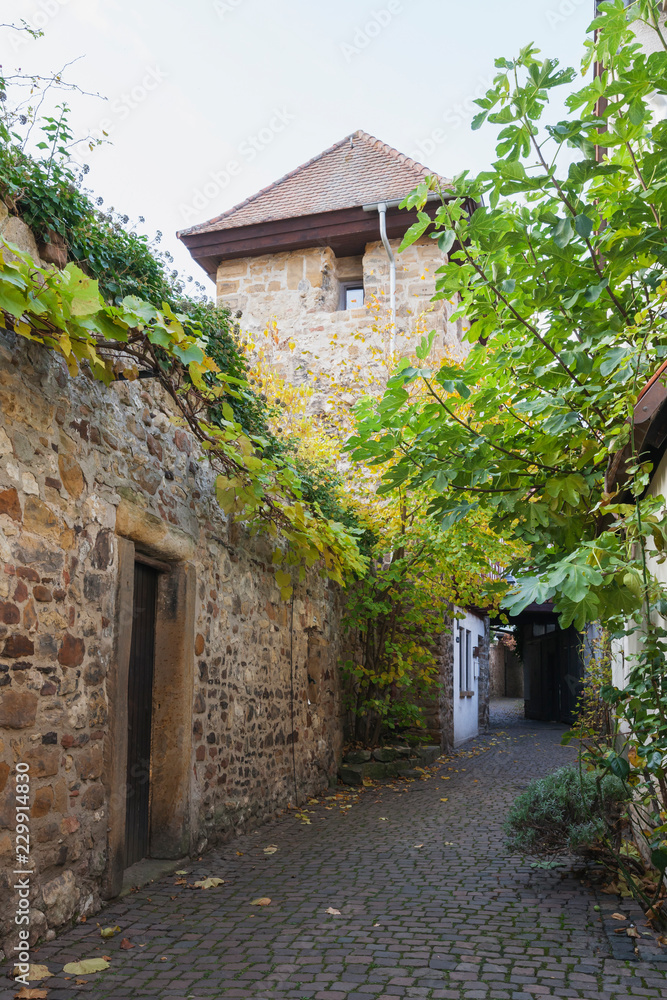Germany, Rhineland-Palatinate, Freinsheim, Historic city wall Germany, Rhineland-Palatinate, Freinsheim, Historic city wall