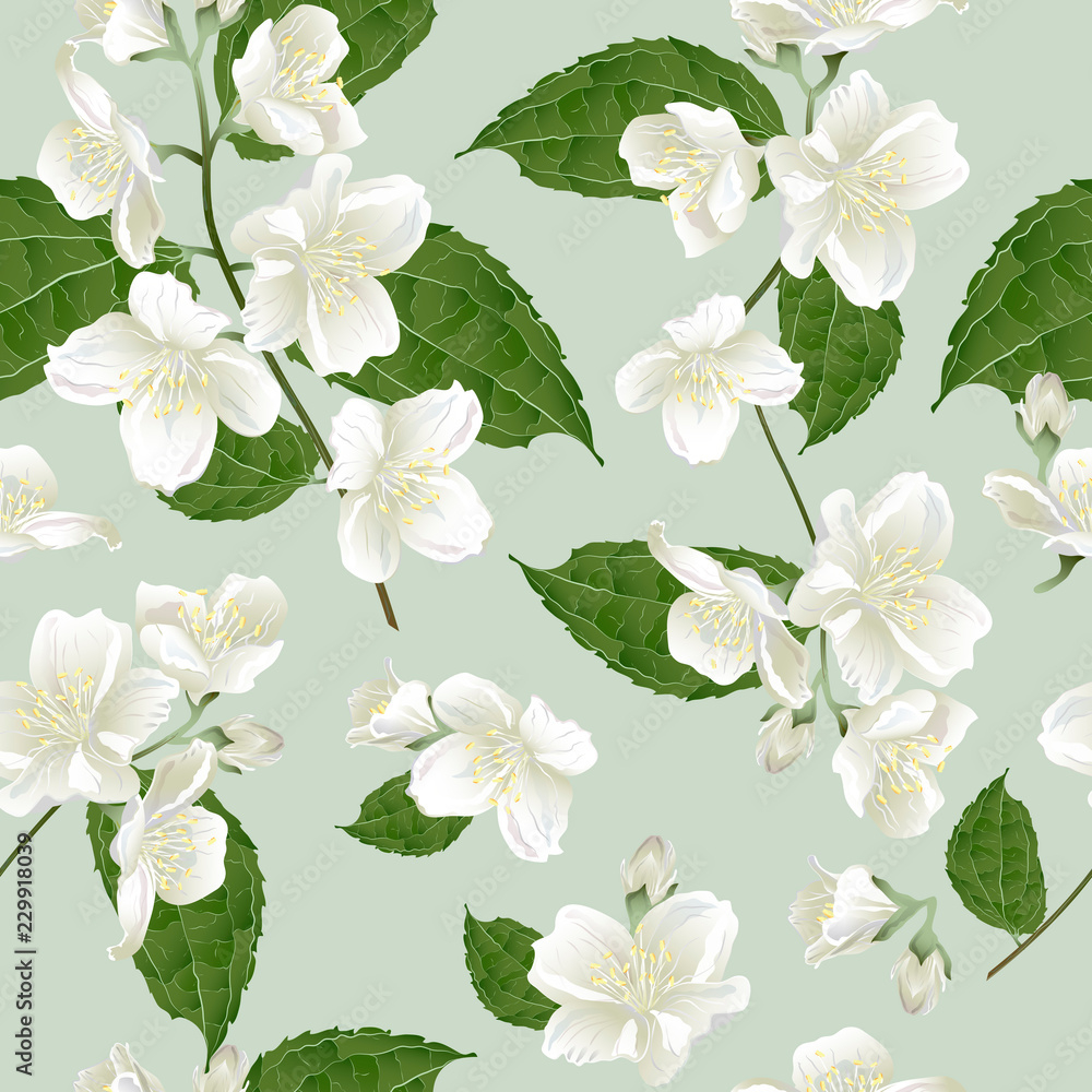 Seamless Pattern With Jasmine Flowers Modern Floral Pattern For Textile Wallpaper Print Gift Wrap Greeting Or Wedding Background Stock Vector Adobe Stock