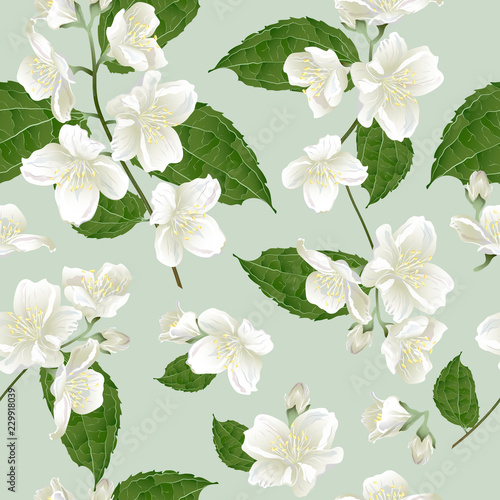 Wallpaper Mural Seamless pattern with jasmine flowers