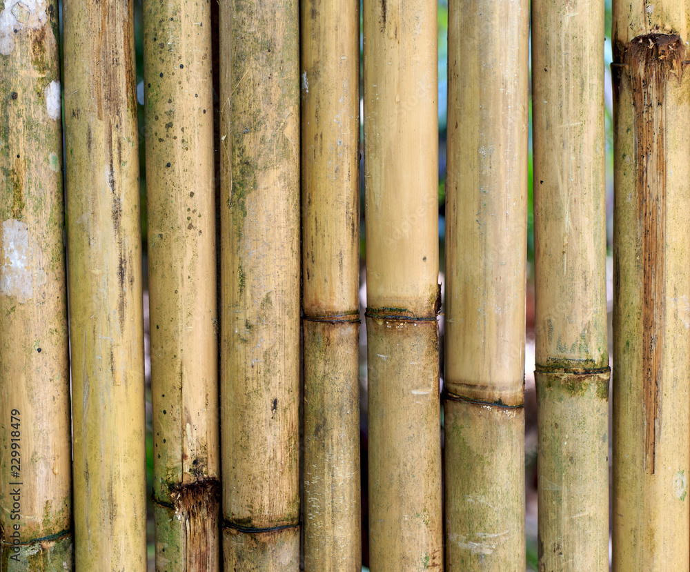 Old bamboo background Old bamboo background