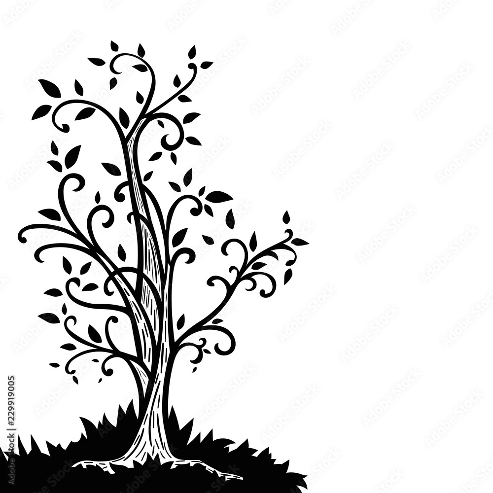 Obraz premium Leaflet with hand drawn tree isolated on white background. Vector illustration.