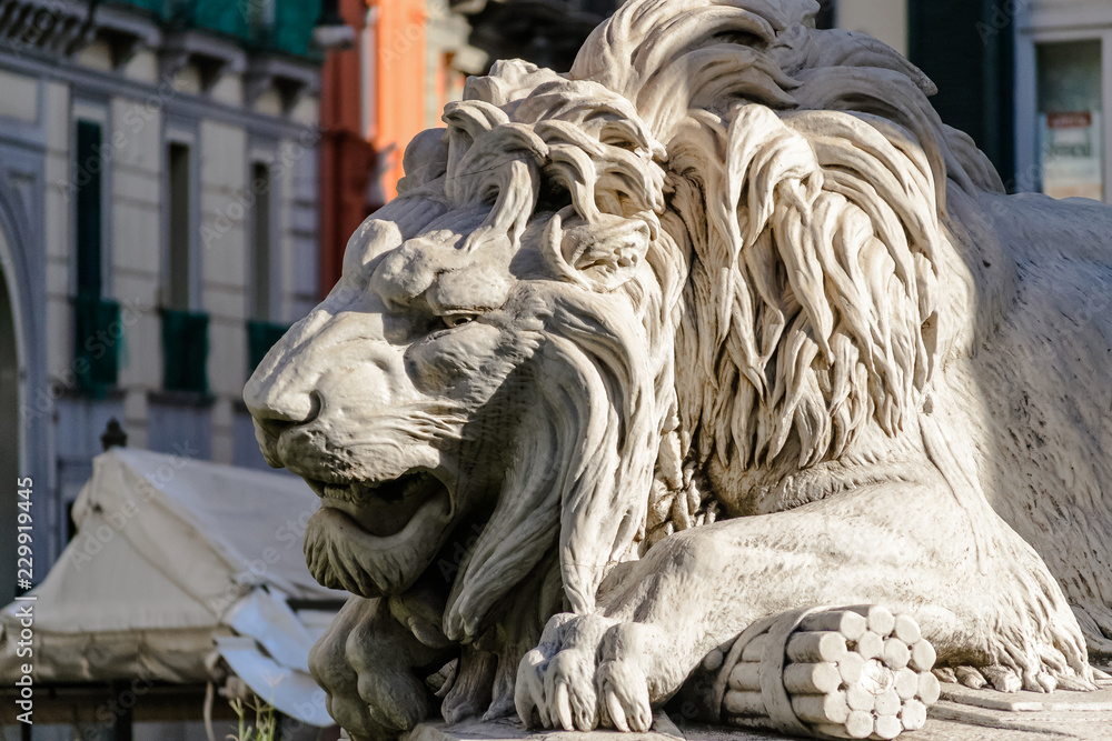 One of the four white stone lions of the monument dedicated to the virtue of the martyrs in Naples, Campania, Italy.