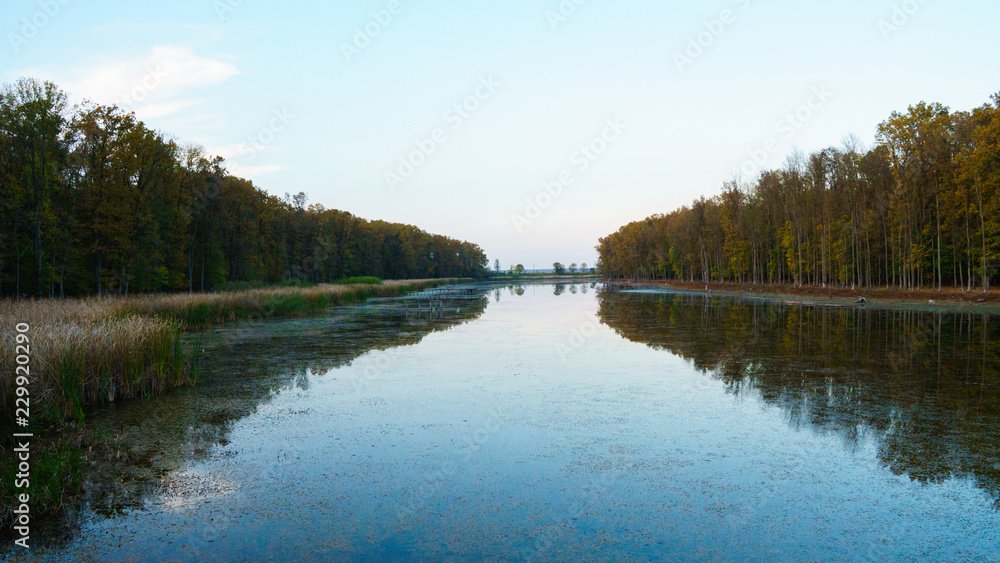 Calm pond with trees reflecting Calm pond with trees reflecting
