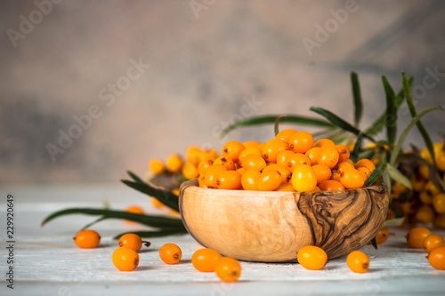 Cuadro en lienzo Sea buckthorn berries with leaves