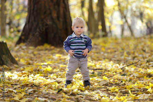 Serious smart toddler standing on autumn leaves carpet.