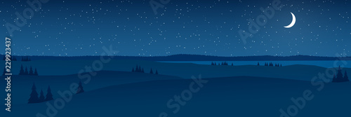 hills at night landscape flat design panorama