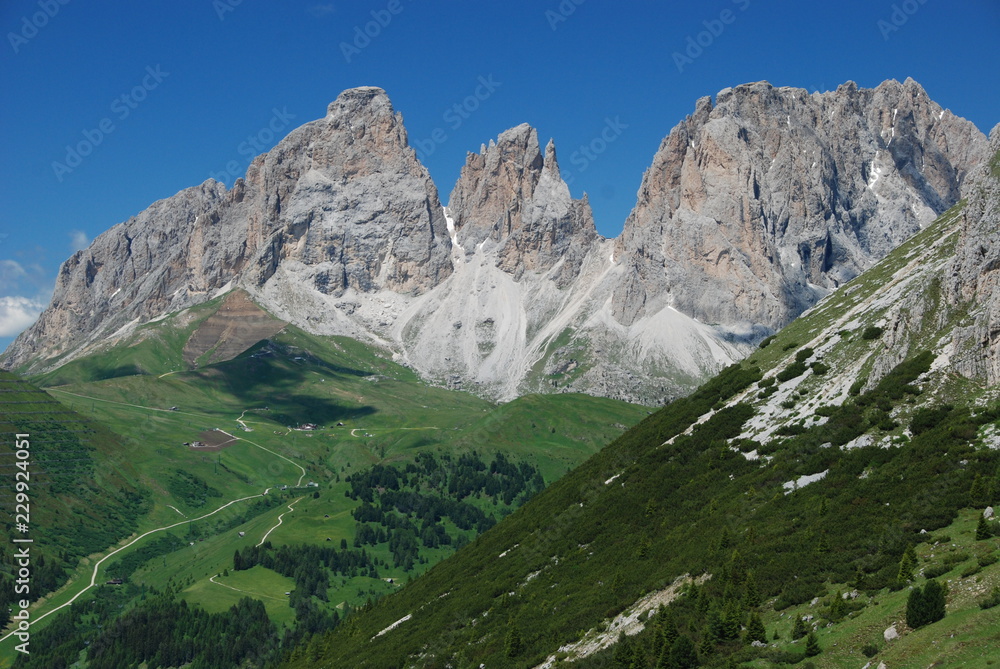 View of Sassolungo from Sella pass, Dolomites - Italy