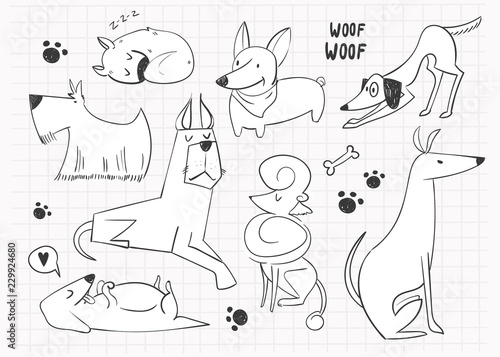 Hand drawn cartoon style dogs. Graphic vector set