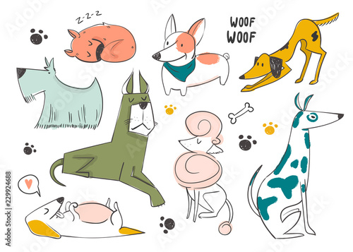 Hand drawn cartoon style dogs. Colored vector set
