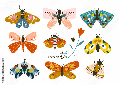 Hand drawn moth and butterflies. Colored vector set. All elements are isolated