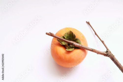 柿の実 枝付き