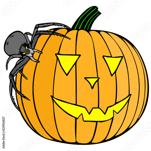 Spider pumpkin