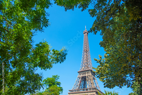 World famous Eiffel tower seen through green trees