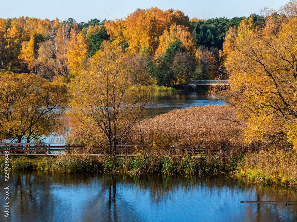 Autumn at the lake Autumn at the lake