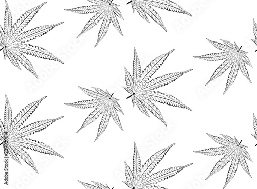 Marijuana leaf in black and white