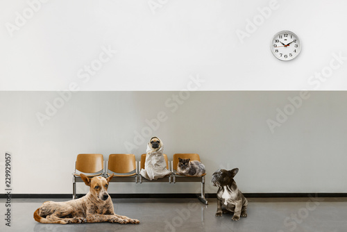 waiting room with chairs, c...