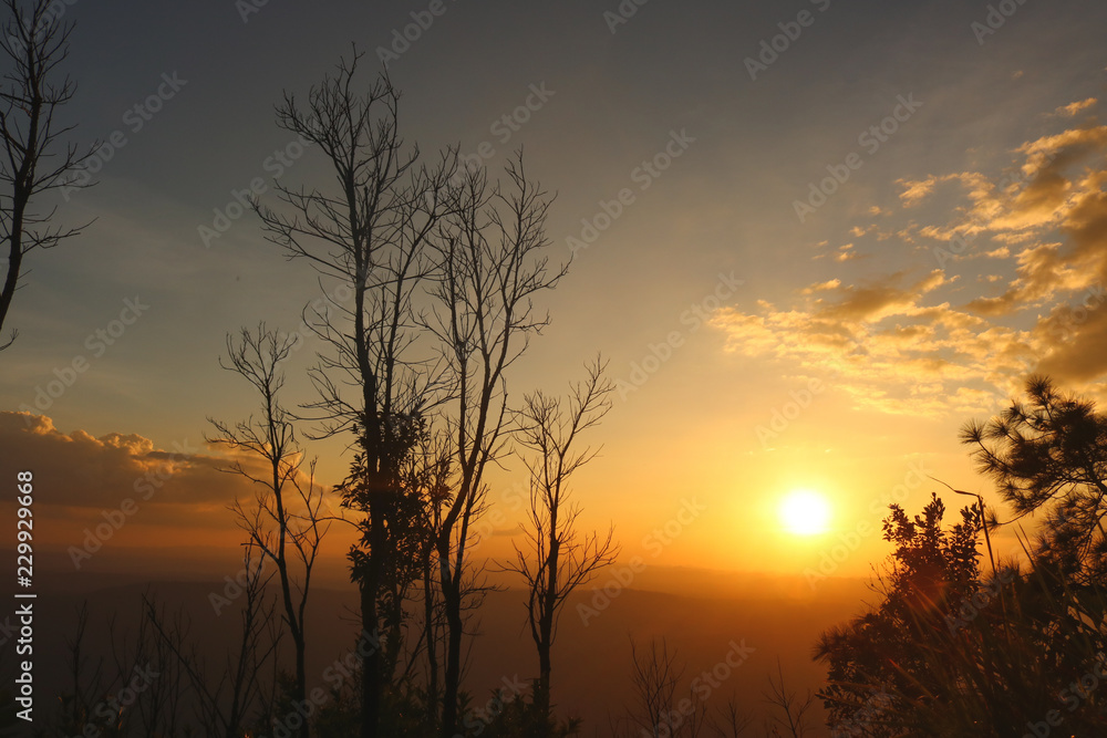 Fototapeta premium Tourism in the wild at Phu Kradueng, Thailand.