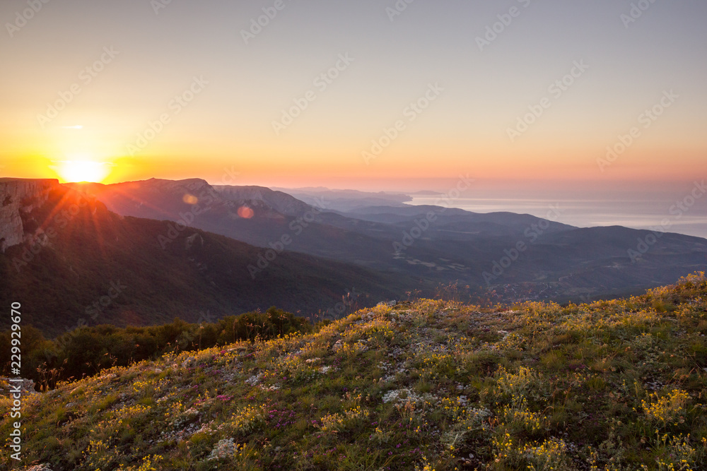 Morning Dawn Sunlight of Bright Golden Sunrise with Yellow Flowers Green Hills and Colorful Sky Summer Landscape