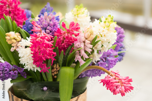 Wallpaper Mural pretty hyacinth flowers composition, cheerful spring bouquet made by florist Torontodigital.ca