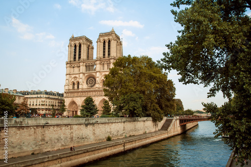 View of the beautiful building of Notre Dame de Paris with trees. On a sunny day © sunnysashka