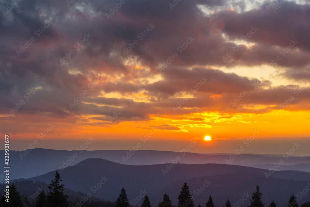 Germany, Black forest sunrise over tree tops and foggy hill landscape in autumn