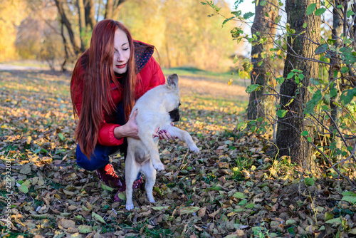 A girl holds a dog in a meadow covered with leaves in autumn © Pavlo