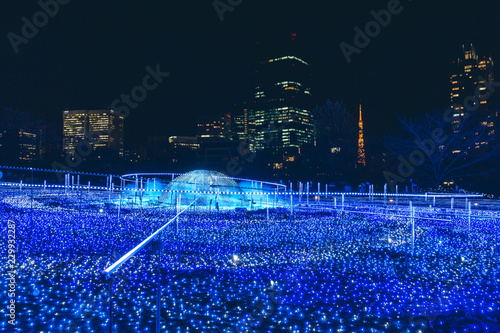Photography Tokyo midtown illumination