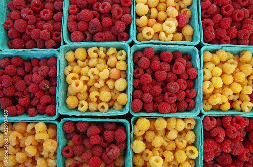 Red and yellow raspberries grouped together in blue baskets and viewed from above. © Paul Pellegrino