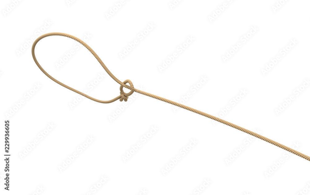 3d rendering of a rope tied in a lasso and flying on a white background. 3d rendering of a rope tied in a lasso and flying on a white background.